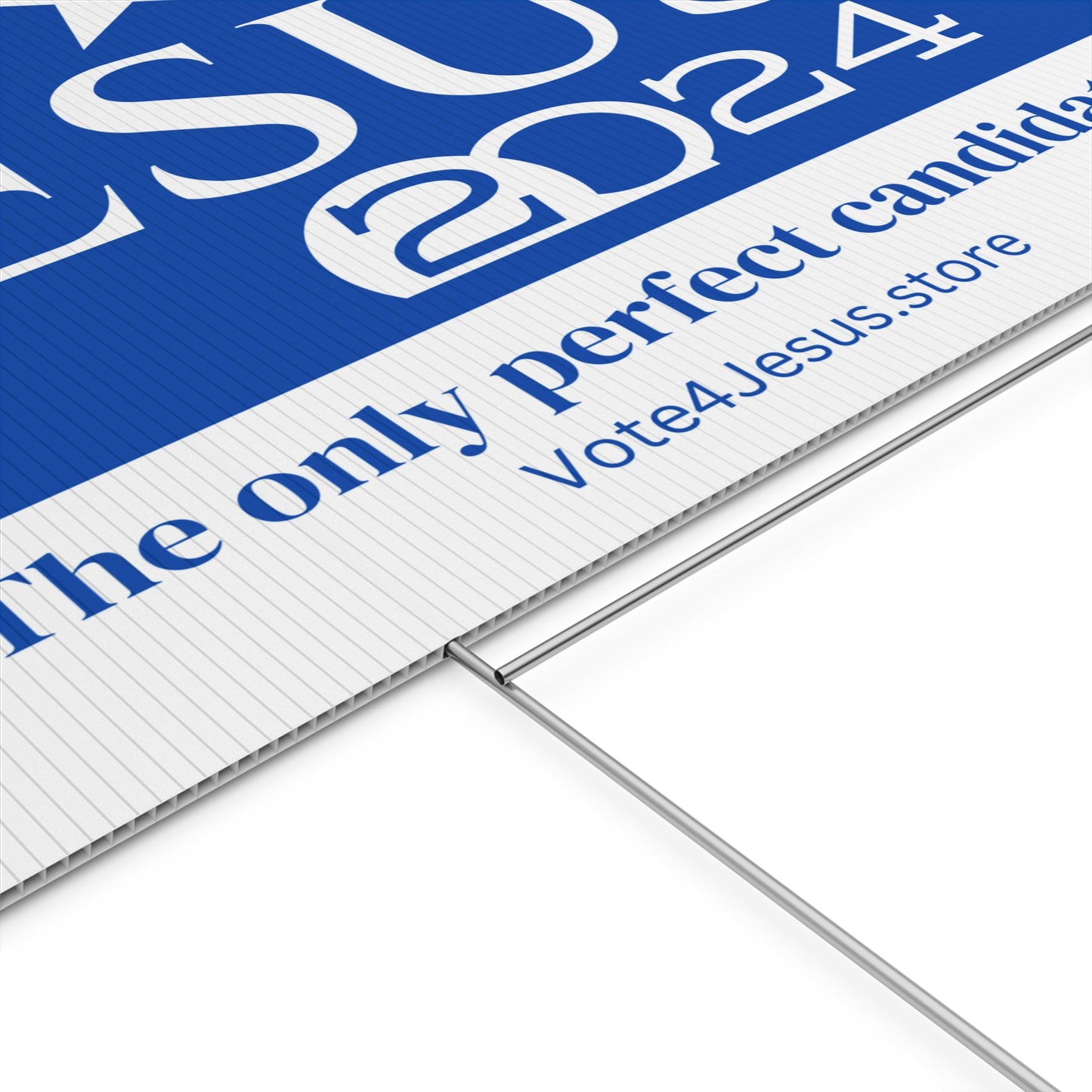 Jesus 2024 - The only perfect candidate